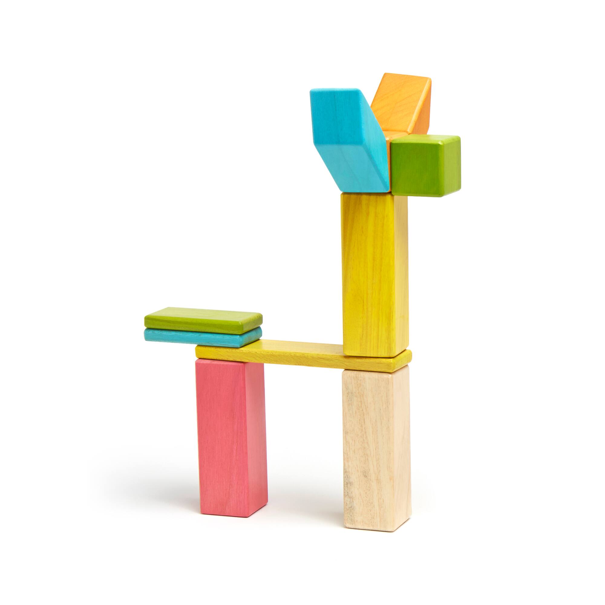 Tegu Tints Block 24 Piece Set